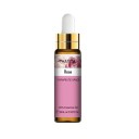 Huile essentielle P3368 12