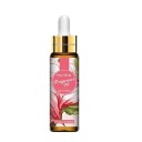 Huile essentielle P3369 29
