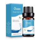 Huile essentielle pour diffuseur d'arôme 10 ml Huile parfumée soluble dans l'eau Aromathérapie Relaxation Parfum naturel Parfum 17