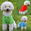 Hunde-T-shirt 3