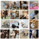 Hundepullover 7,5–10 kg Größe XXL 55 cm Brustumfang 42 cm Länge Warmer gestrickter Anzug mit Bärenmotiven und drei Knopfverschluss 2