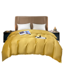 Husă de pătură 180 x 210 cm Mătase de dud Husă de pătură netedă și uniformă Material plăcut și respirabil 10