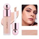 Hydratačný korektor pre všetky typy pleti Vodoodolný dlhotrvajúci make-up na nedokonalosti Regulácia mastnoty Hodvábna textura 12