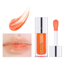 Hydrating Lip Oil 1