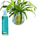 Hydroponické hnojivo pro rostliny s pomalým uvolňováním 110 ml tekutý živný roztok modro zelená kapalina pro pokojové rostliny 4