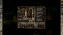 Icewind Dale: Enhanced Edition Steam CD-avain CD-avain 5