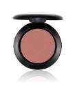 IMAGIC profissional blush 10