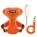 Imbracatura di sicurezza regolabile per cani con guinzaglio Imbracatura a rete per cani di piccola taglia Imbracatura riflettente con guinzaglio Gilet traspirante per cani 5,5 - 8,5 kg 6