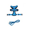 Imbracatura per gatti 6