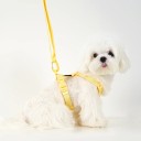 Imbracatura regolabile per cani con guinzaglio di lunghezza 85-145 cm Circonferenza collo 38-58 cm e circonferenza corpo 36-50 cm Cinghie con fibbie scorrevoli 1