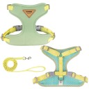 Imbracatura regolabile per gatti e cani di piccola taglia 10–14 kg L Imbracatura traspirante con guinzaglio e rete Equipaggiamento confortevole 2