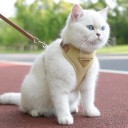 Imbracatura regolabile per gatti e cani di piccola taglia 10–14 kg L Imbracatura traspirante con guinzaglio e rete Equipaggiamento confortevole 6