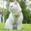 Imbracatura regolabile per gatti e cani di piccola taglia 10–14 kg L Imbracatura traspirante con guinzaglio e rete Equipaggiamento confortevole 7