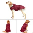 Impermeable para perros grandes 4