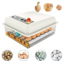 Incubadora automática de ovos para aves Incubador para 16 ovos Rotação dos ovos a cada 2 horas Ajuste para diferentes espécies de aves Alimentação 12 4