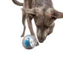 Interactieve traktatiedispenser voor honden Bal 8 cm Plastic speelgoed voor langzaam voeren en stimulerende training 2