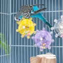 Interactive Toy for Parrots 8 cm Rotating Hanging Toy for Bird Cage Beak Training Sensory Stimulation Play and Fun for Birds 1