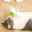 Interaktywna zabawka dla kotów z piórami 5
