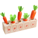 Jeu d'enfants d'insertion de carottes 2