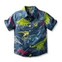 Jongensshirt L1814 1