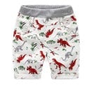 Jongensshorts met dinosaurustekening J1329 1