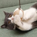 Jouet à plume pour chats 40 cm Bâton en bois avec élastique et plumes Jouet interactif pour chats Pendentifs poulet souris spirale balle ballon 2