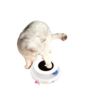 Jouet interactif 2 en 1 pour chats avec 2 balles et plumes, jouet électronique pour chats en plastique ABS, couleur intelligente, 5 modes de jeu 2