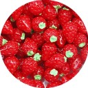 Jouet mini fraises 10 pcs 1