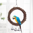Jouet suspendu pour oiseaux C721 6