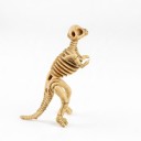 Juego de 12 figuras de esqueletos de dinosaurios de 9 cm Modelos de fósiles en escala 1:200 Juguete educativo para niños para jugar y juegos 6