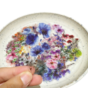Juego de 50 unidades de pegatinas transparentes con motivo floral Pegatinas decorativas de colores para diario cartas álbumes de fotos notas 2