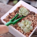 Juego de herramientas de jardinería 4 piezas 6
