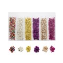 Juego de piedras decorativas 2 - 4 mm 20 g 6