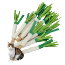 Juguete masticable para gatos 22 cm Forma de cebolla de verdeo Juguete interactivo para morder para gatitos y gatos adultos para jugar y cuidar de sus dientes 4