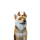 Julehue til hunde - rensdyr 2