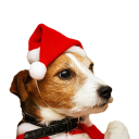 Julehuer til hunde 4