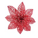 Julepyntblomst 1