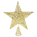 Julstjärna på granen 5