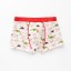 Jungen-Boxershorts mit Dinosauriern 8