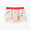 Jungen-Boxershorts mit Dinosauriern 8