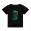 Jungen-Geburtstags-T-Shirt B1533 4