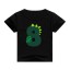 Jungen-Geburtstags-T-Shirt B1533 9