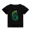 Jungen-Geburtstags-T-Shirt B1533 7