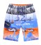 Jungen-Strandshorts mit Kamelen J1327 1