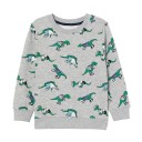 Jungen-Sweatshirt L577 1