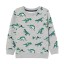 Jungen-Sweatshirt L577 1