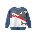 Jungen-Sweatshirt L578 1