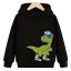 Jungen-Sweatshirt mit Dinosaurier 3