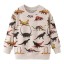 Jungen-Sweatshirt mit Dinosauriern 10