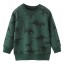 Jungen-Sweatshirt mit Dinosauriern 13